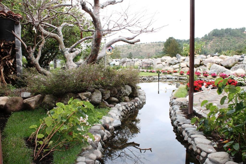El Oasis Hotel Y Restaurante Boquete Zewnętrze zdjęcie